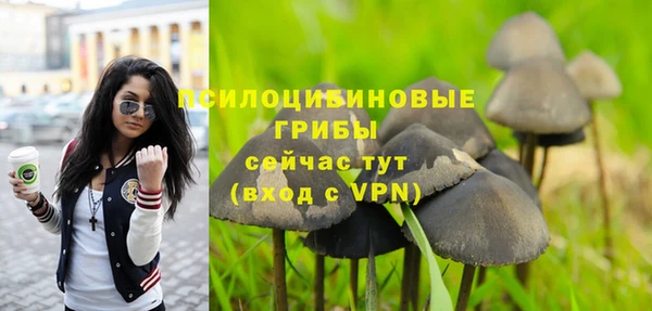 MDMA Богородск