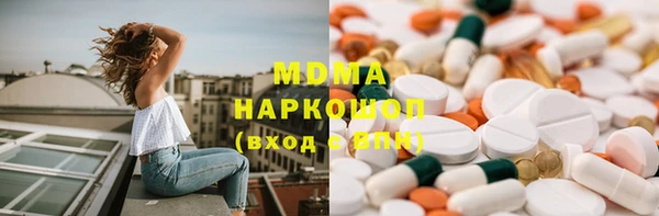 гашик Богданович