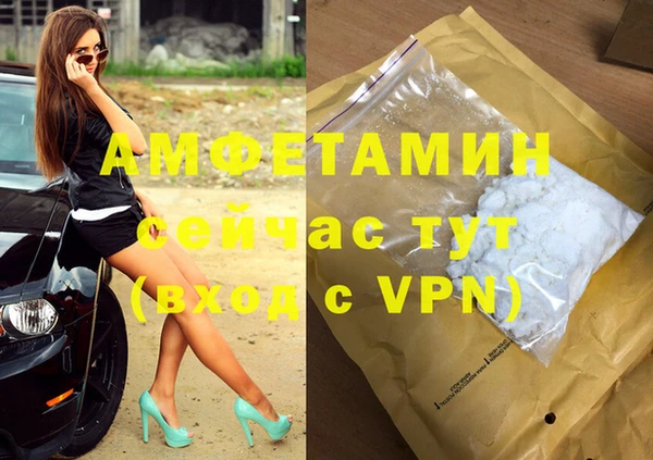 гашик Богданович