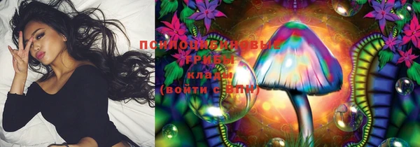 гашик Богданович