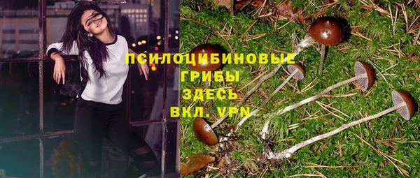 гашик Богданович