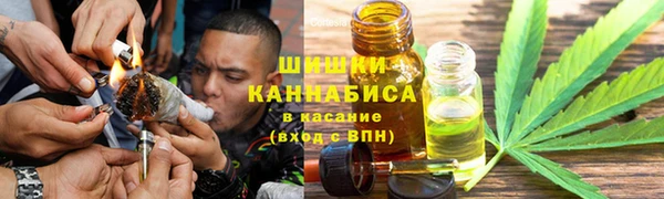 гашик Богданович