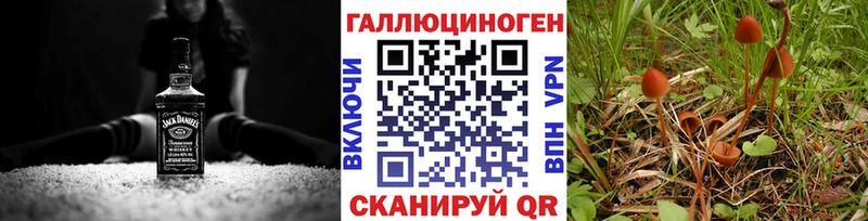 мега вход  Дубовка  Псилоцибиновые грибы GOLDEN TEACHER  наркотики 